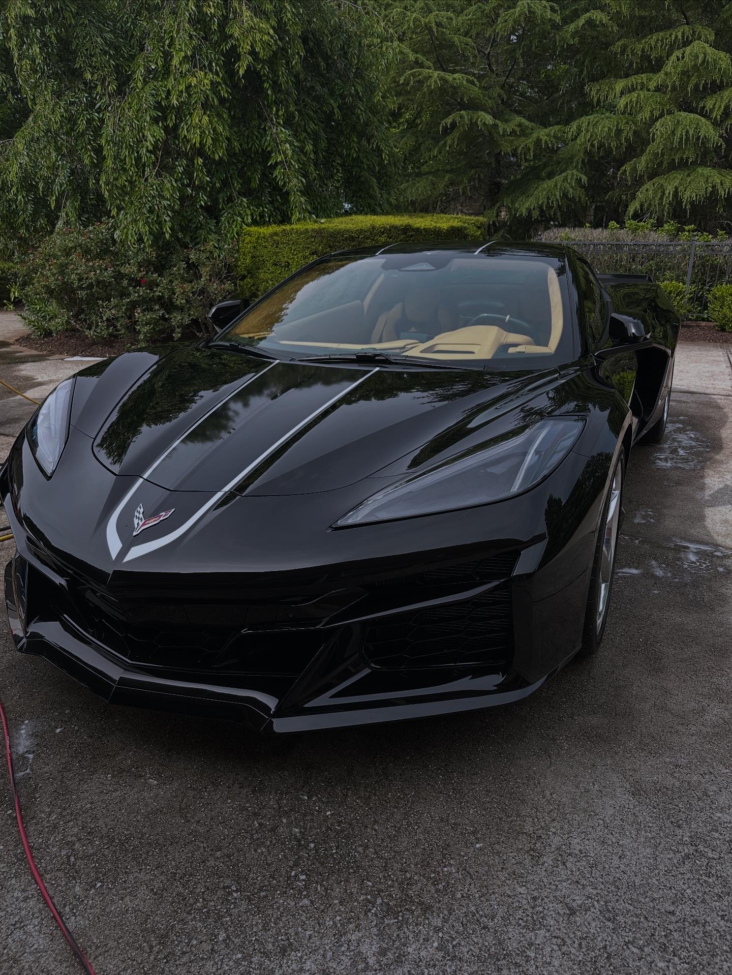 Black Corvette after full detail